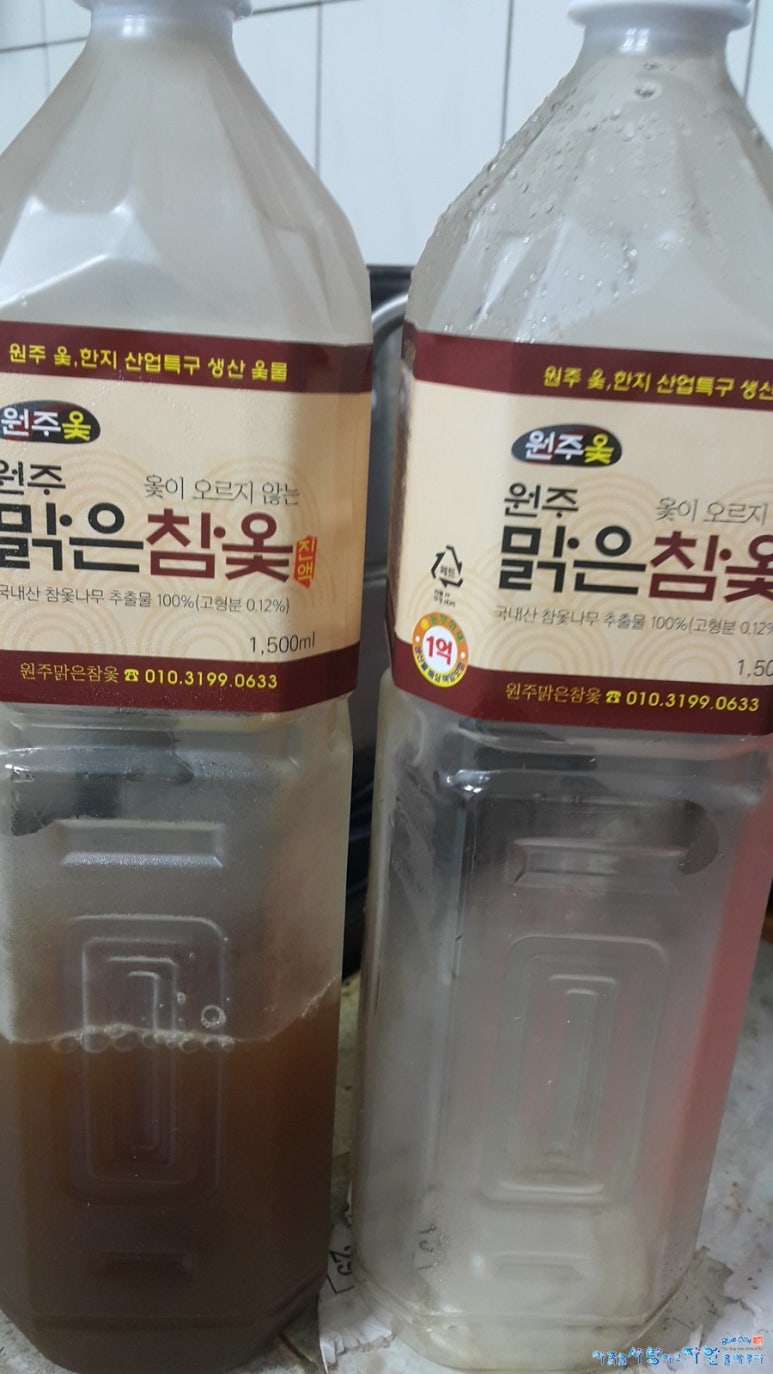 옻나들 이미지