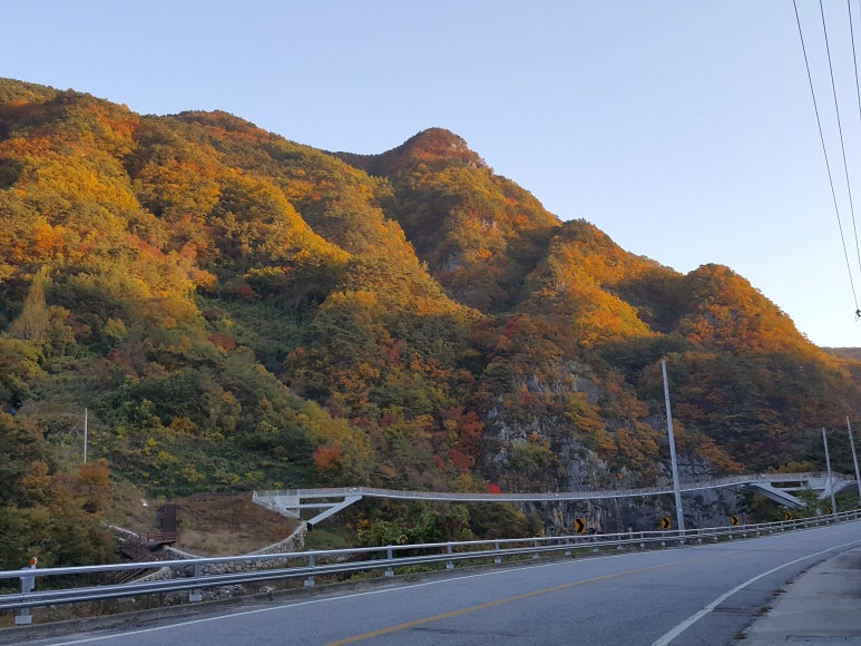 예안주유소 이미지