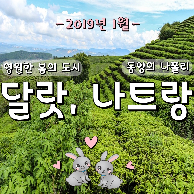 (겨울 해외여행지 추천) 청주 직항 베트남 달랏 나트랑 1월 패키지여행 3박 5일 환율 날씨 준비물 시간 전압 겨울방학 단체 ... (겨울 해외여행지 추천) 청주 직항 베트남 달랏 나트랑 1월 패키지여행 3박 5일 환율 날씨 준비물 시간 전압 겨울방학 단체 ...