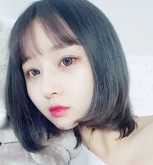 솜헤어 이미지