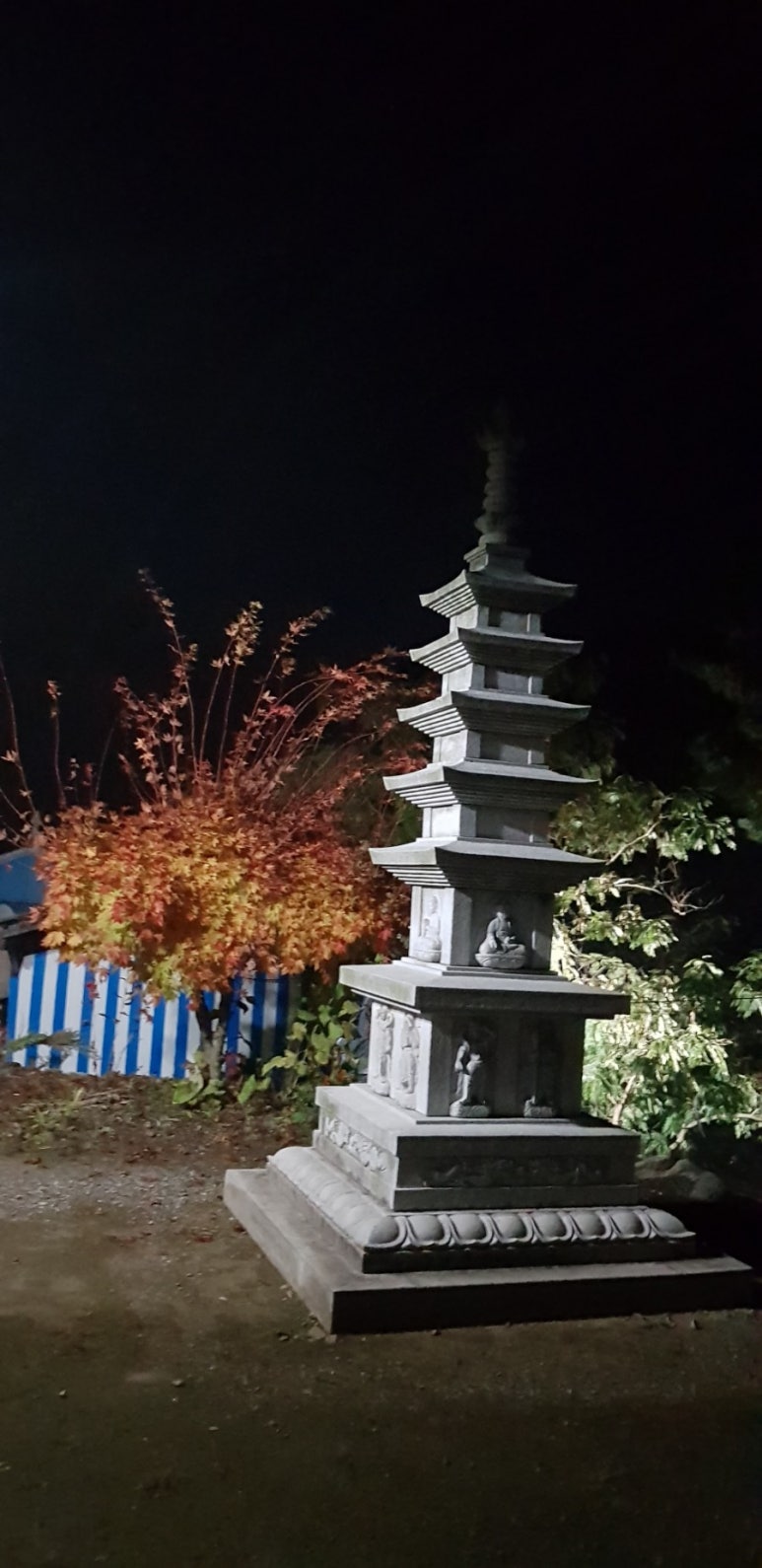 지연사 이미지
