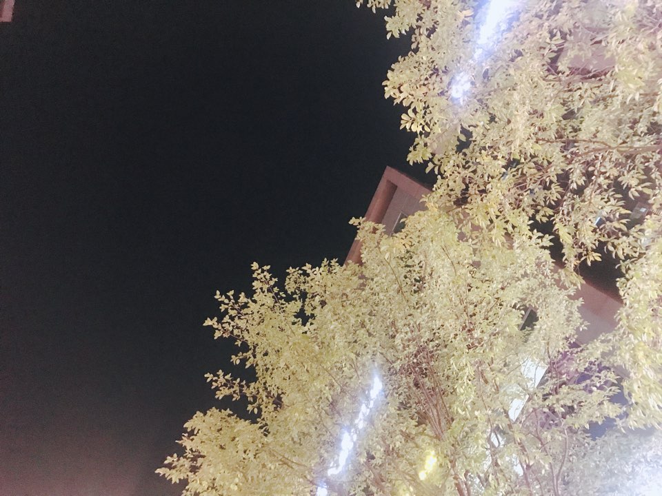 피치교육컨설팅 이미지