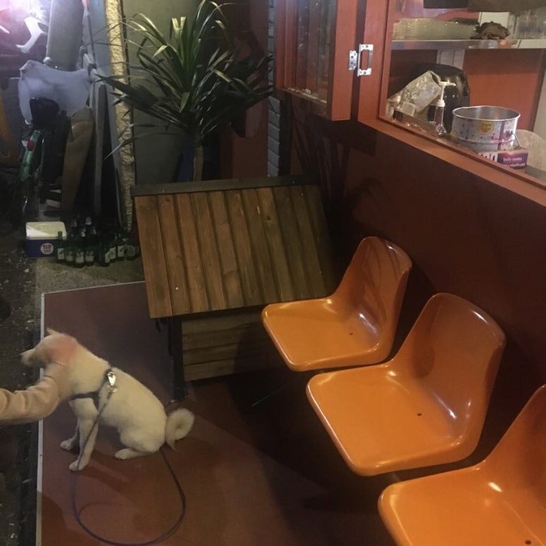 오렌지 시티 (orange city) 이미지