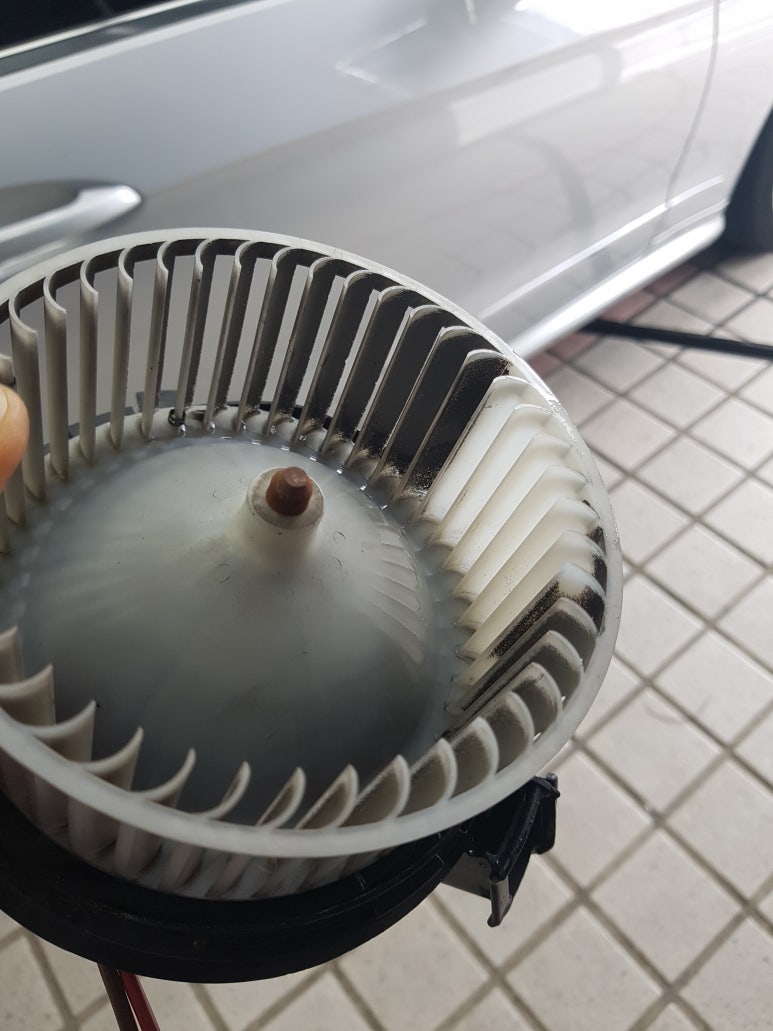 카업 이미지