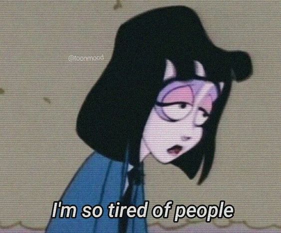 쁠로13 이미지