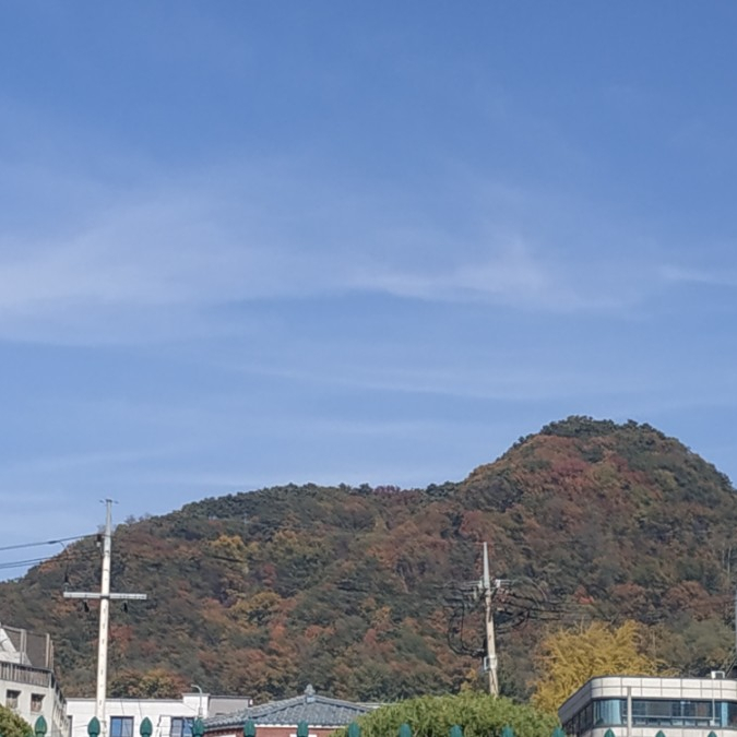 시청길 이미지