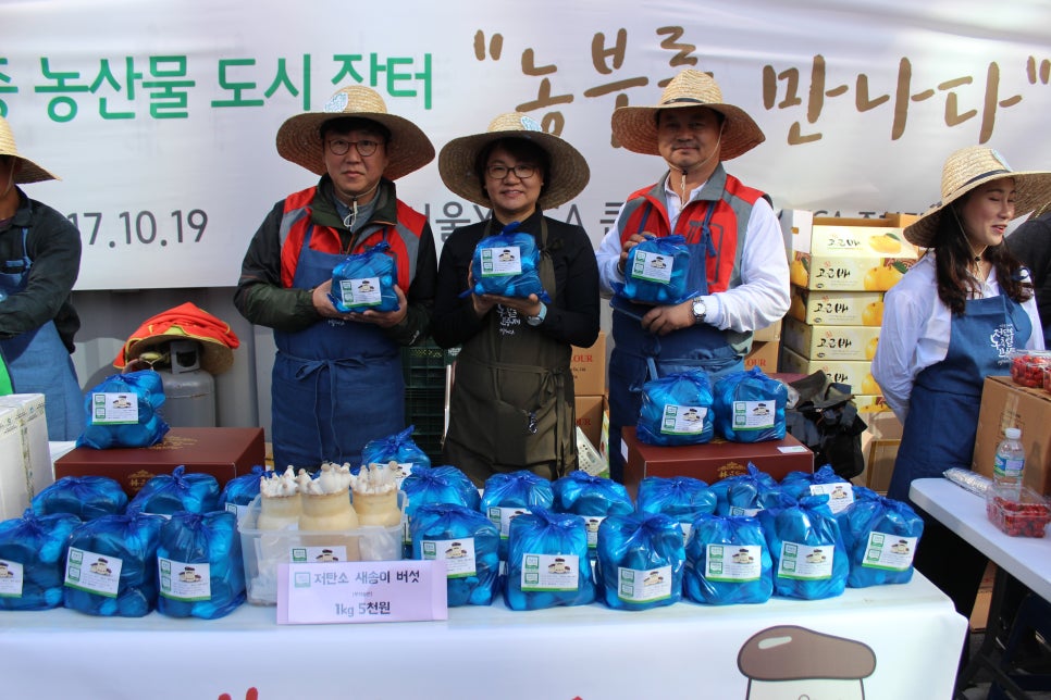 경북 농산 이미지