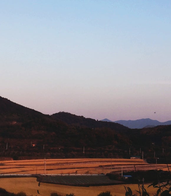 오브제토 이미지