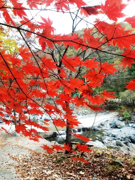 산책펜션 이미지