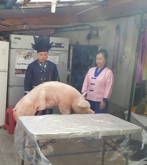 일신사 이미지