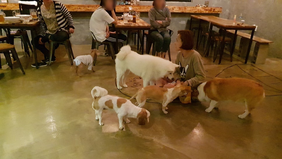 엉알펍 이미지