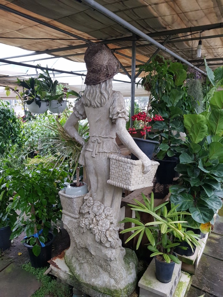 샤론꽃화원 이미지