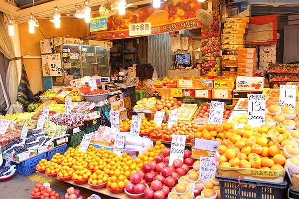일본박사 이미지