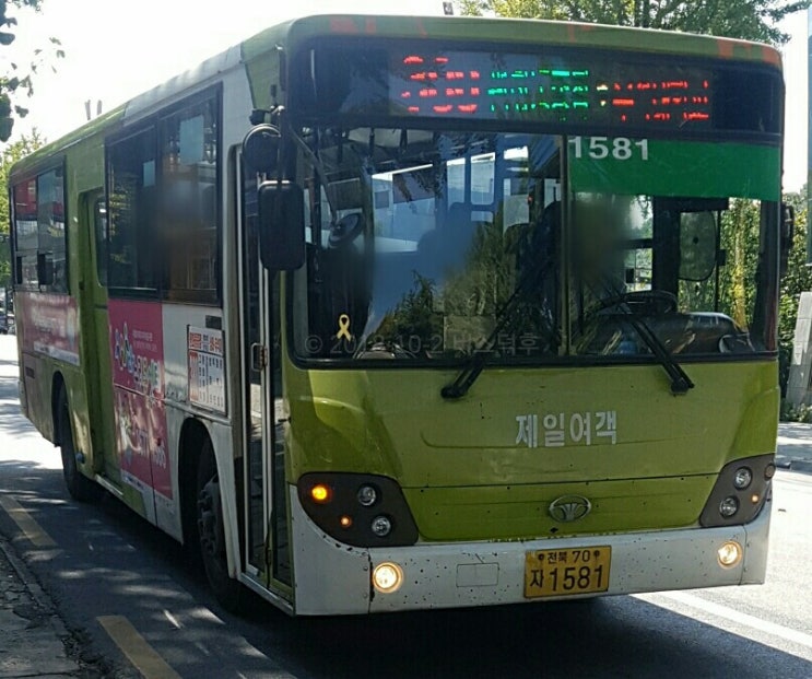 제일여객 이미지