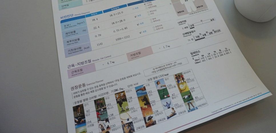 리키스튜디오 이미지