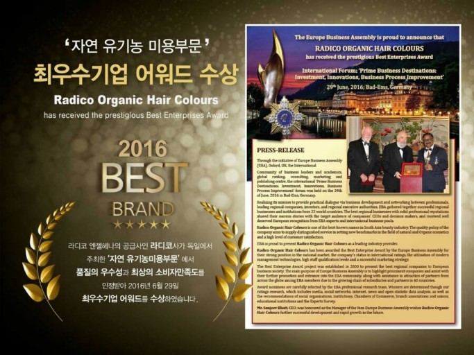 헤나킹 이미지