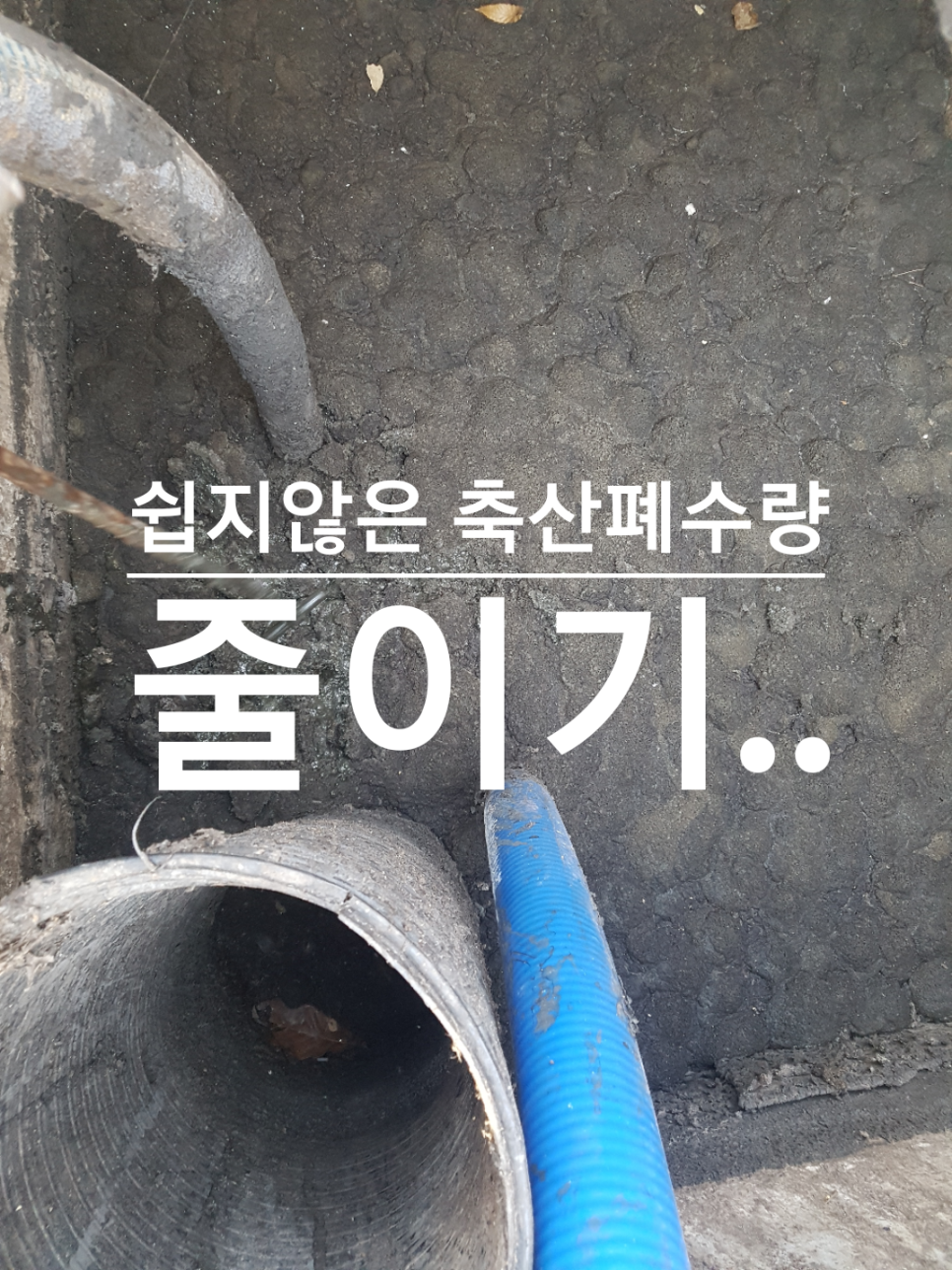 제녹스 이미지