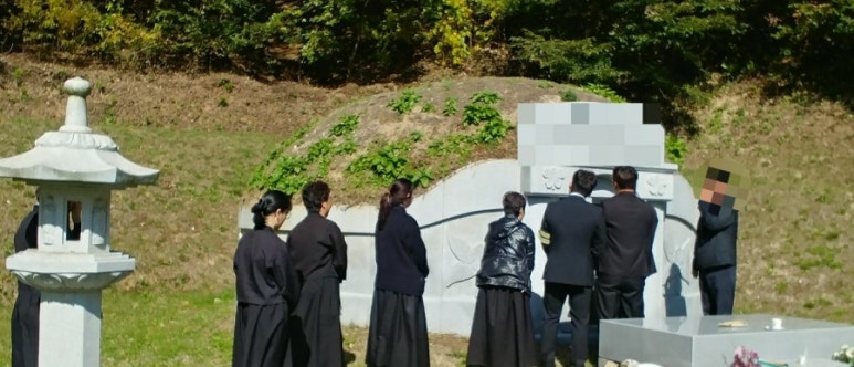 솔루션의전 이미지
