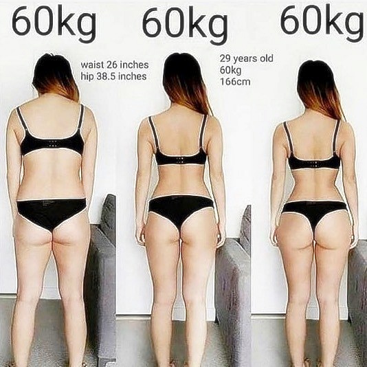 냉동닥터 이미지