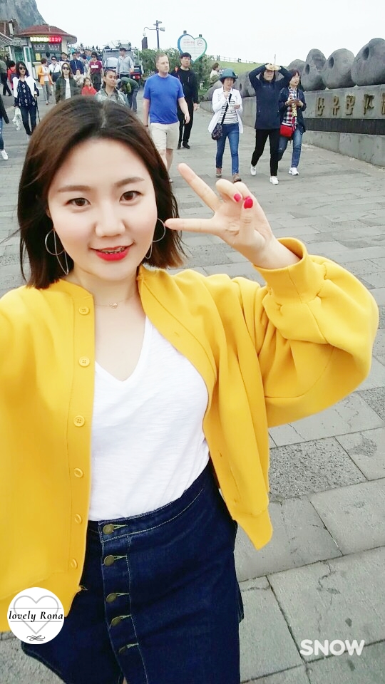 일출봉아로니아 이미지