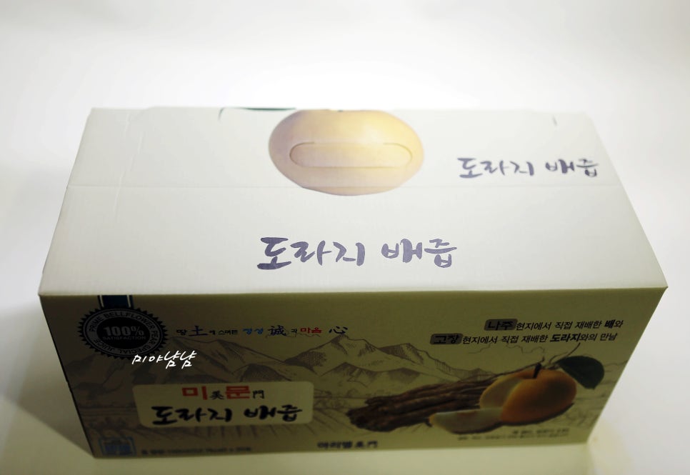 아리엘미문 이미지
