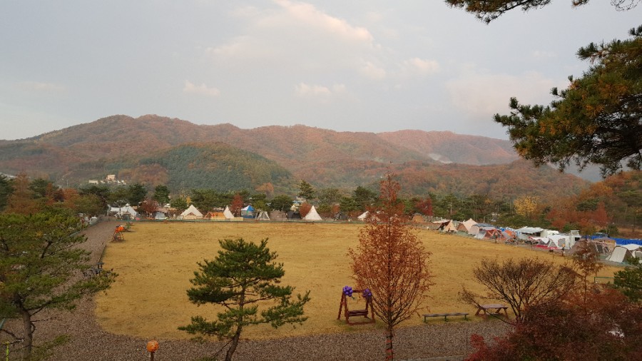 솔뜰캠핑장 앞 이미지