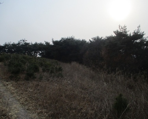 초곡리1 이미지