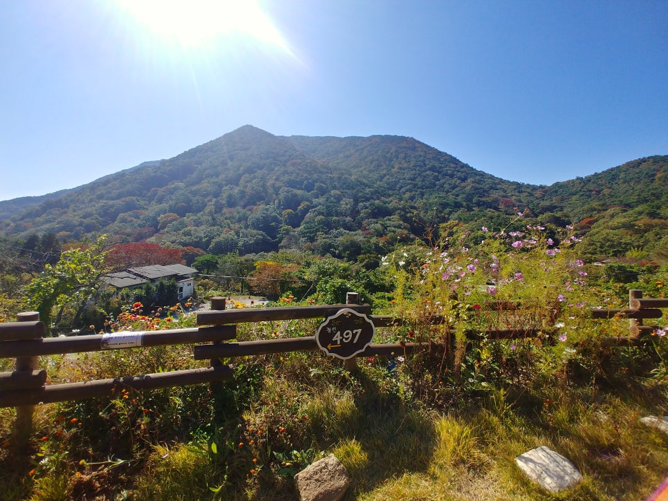 497정원 이미지