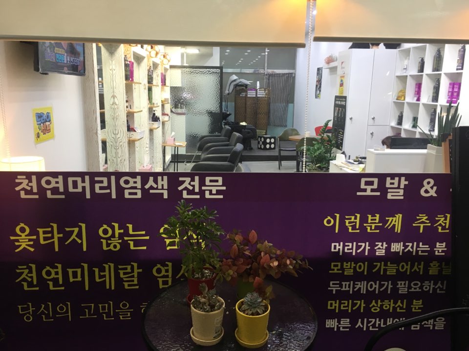 물들이다머리염색방 이미지