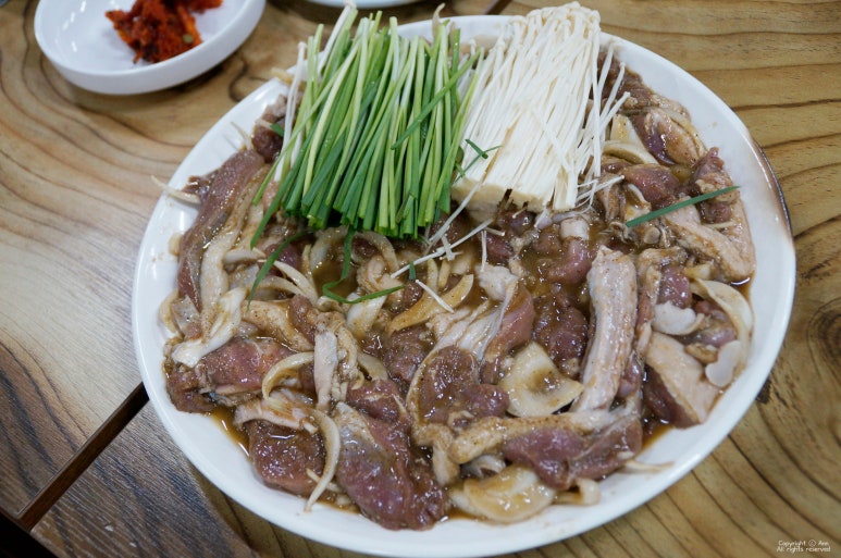싱싱오리 이미지