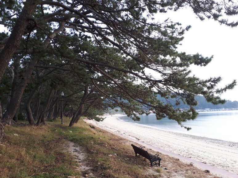 청송해변집 이미지