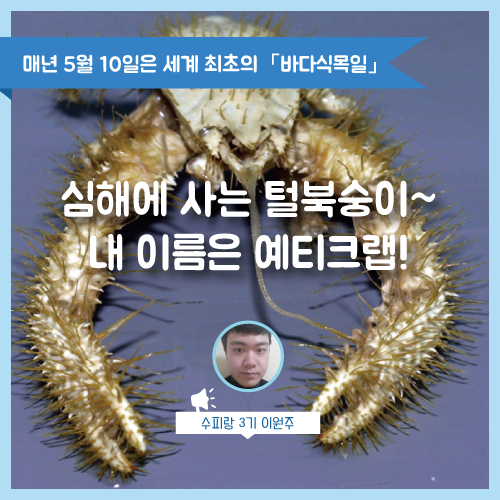 복실수산 이미지