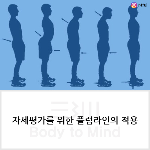 플럼라인 이미지