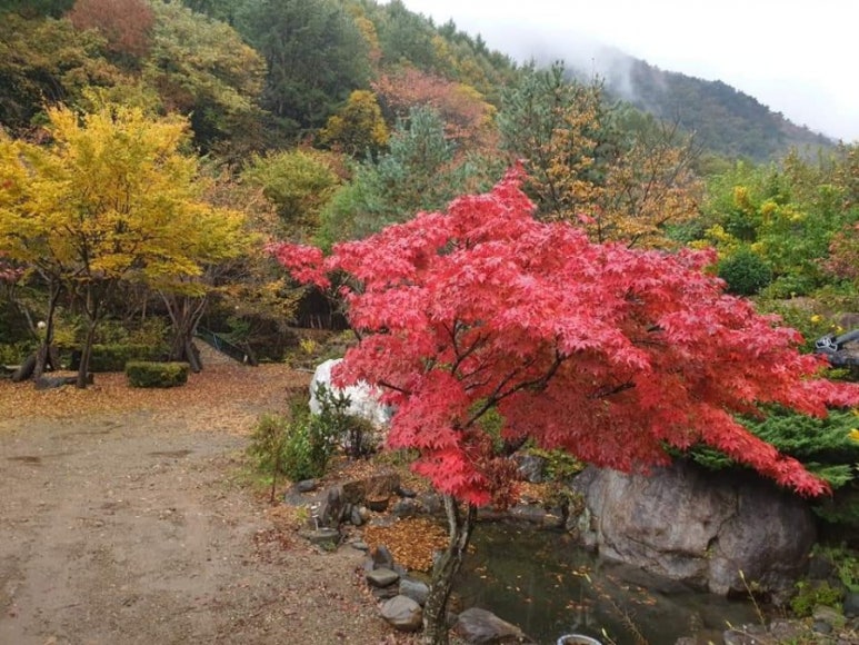 지리산의아침민박식당 이미지