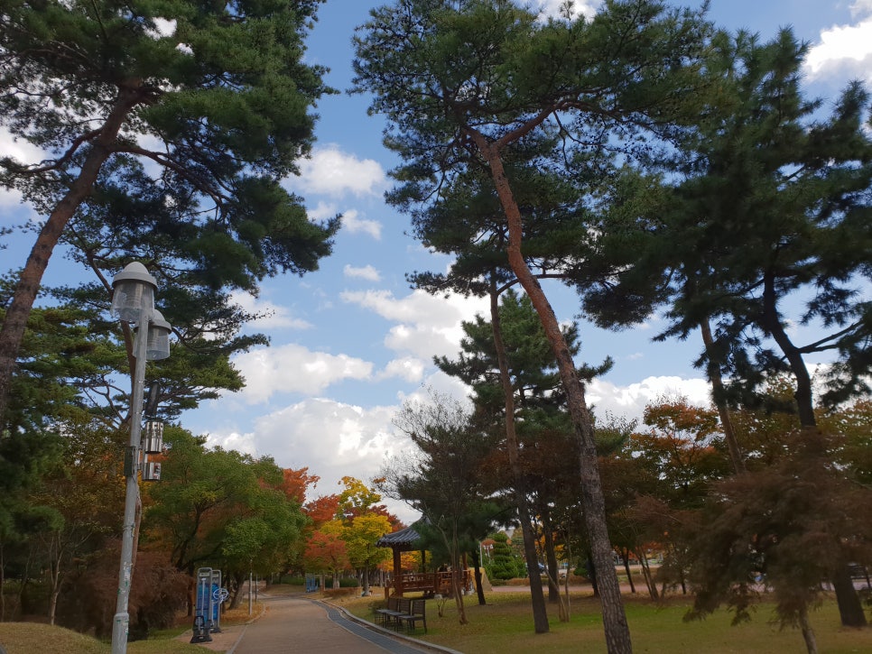 아이파크  사과나무 어린이집 이미지