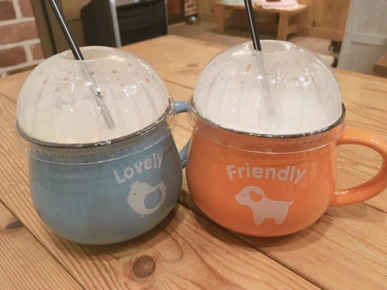 반갑다창문밖고양이 이미지