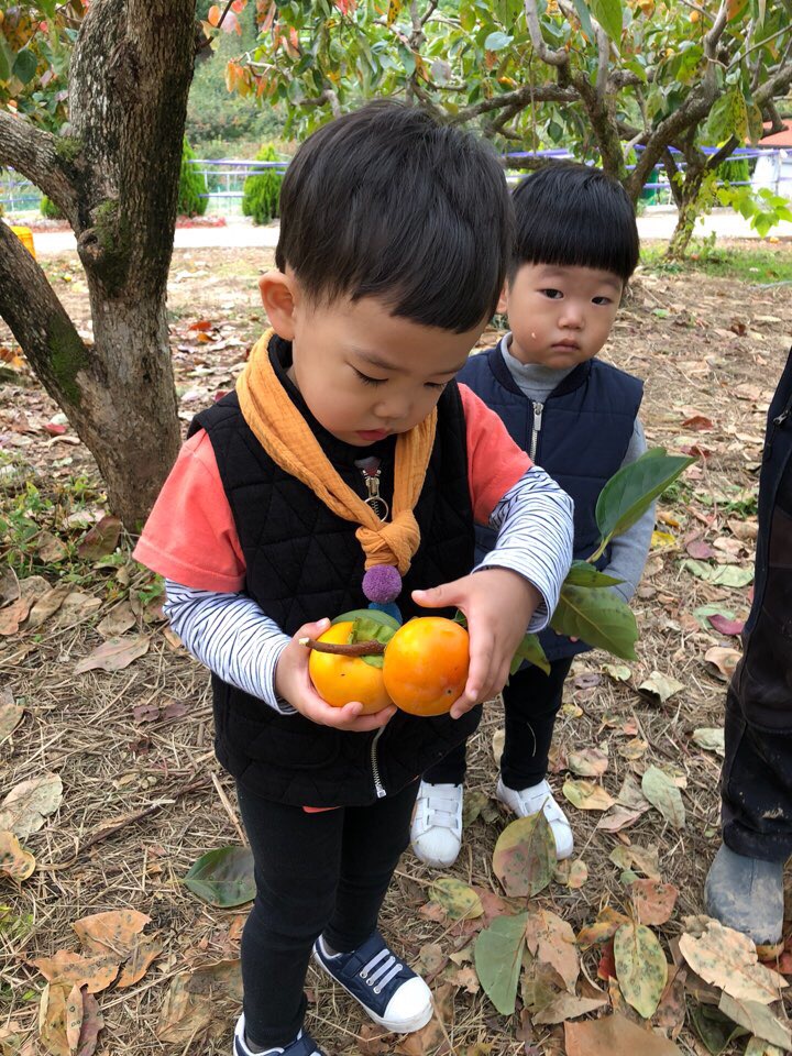 윤이 이미지