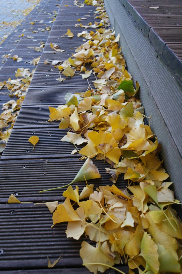 민들레주유소 이미지