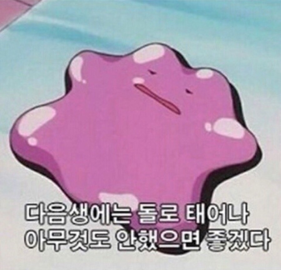신마트 이미지