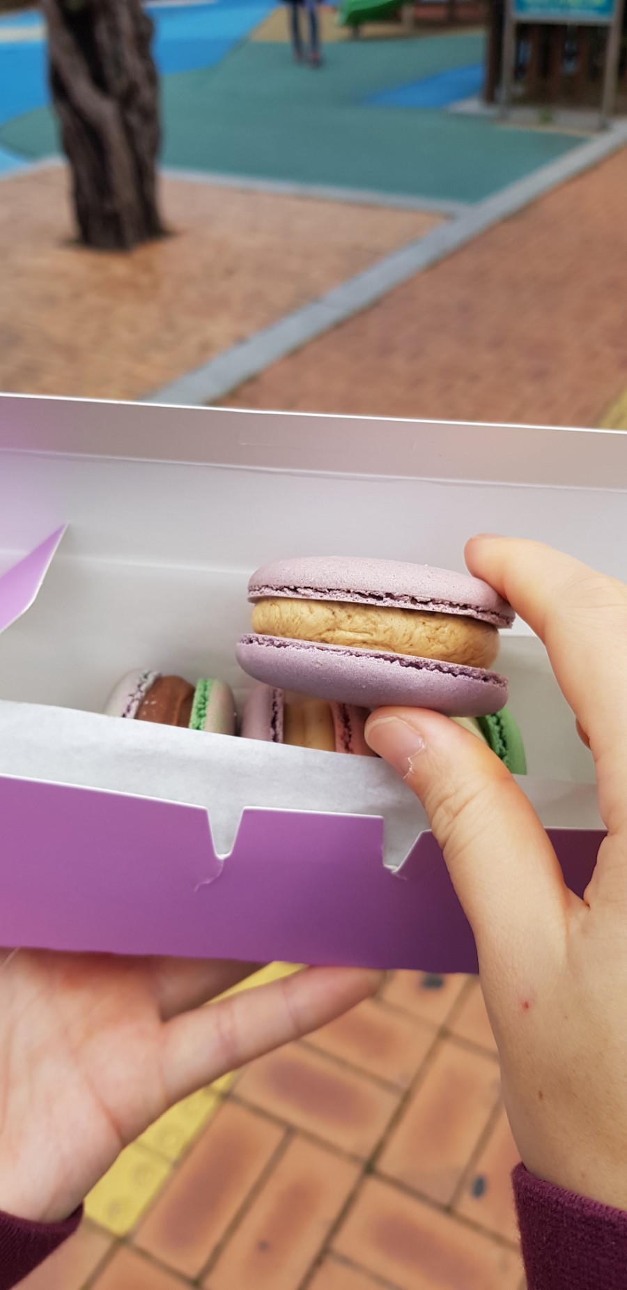 달맛디 이미지