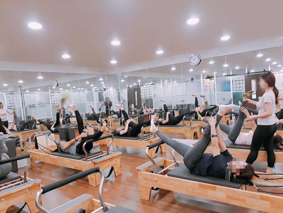 아레아 이미지