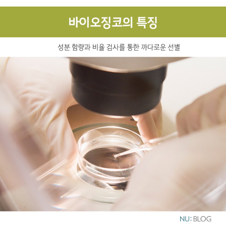 징코바이오 이미지