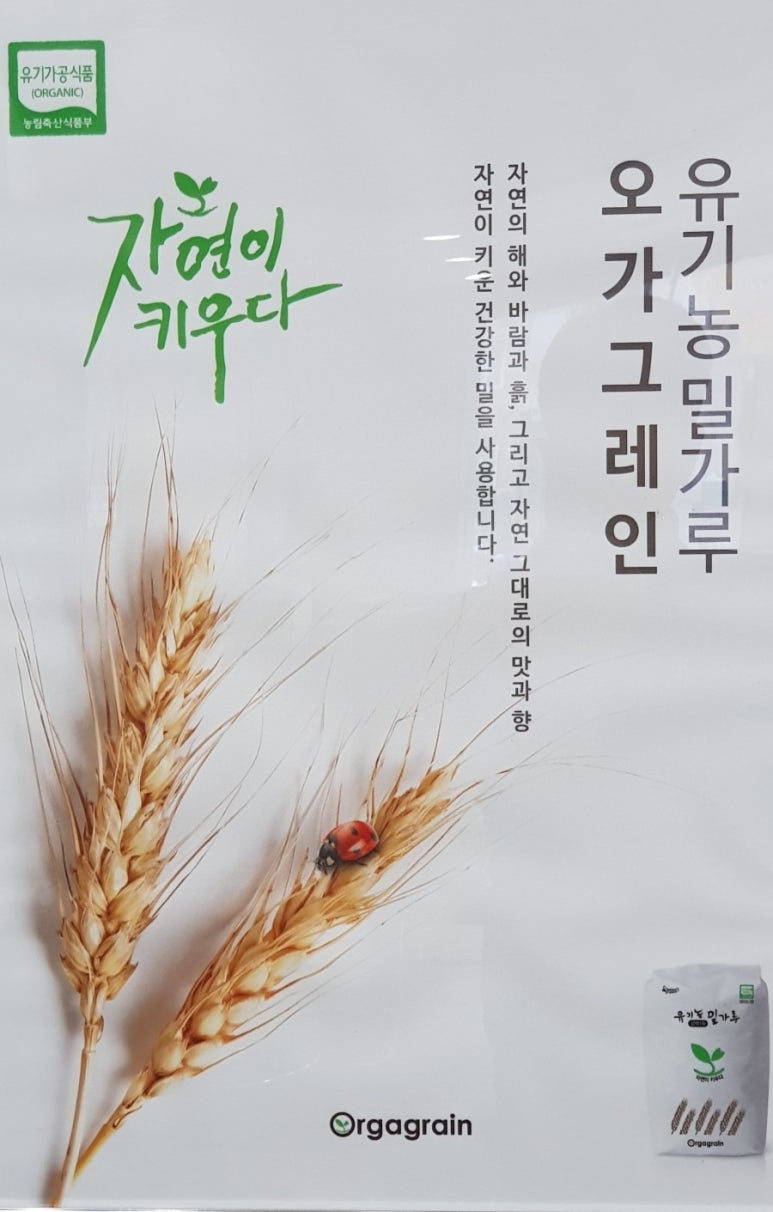 복촌손만두 이미지