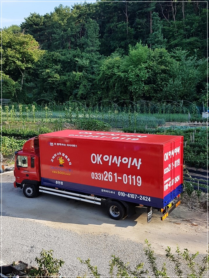 OK이사이사 이미지