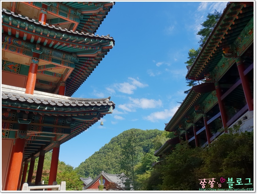 상보당 이미지