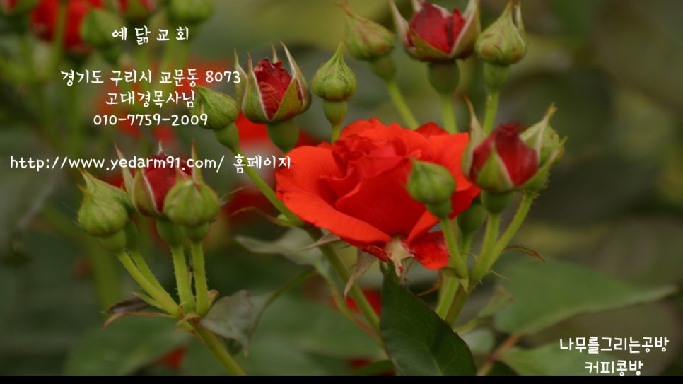 지킴이예닮 이미지