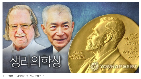 서일교정형외과 이미지
