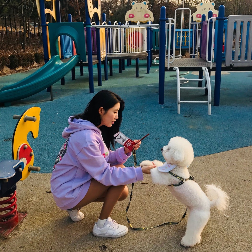 비에프푸드 이미지