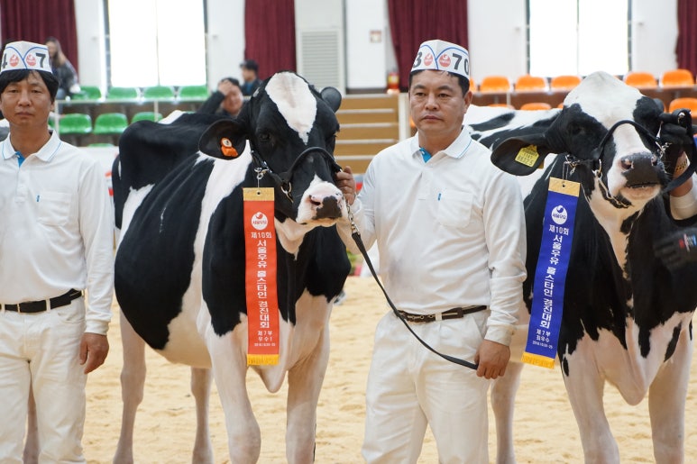 경진주유소 이미지