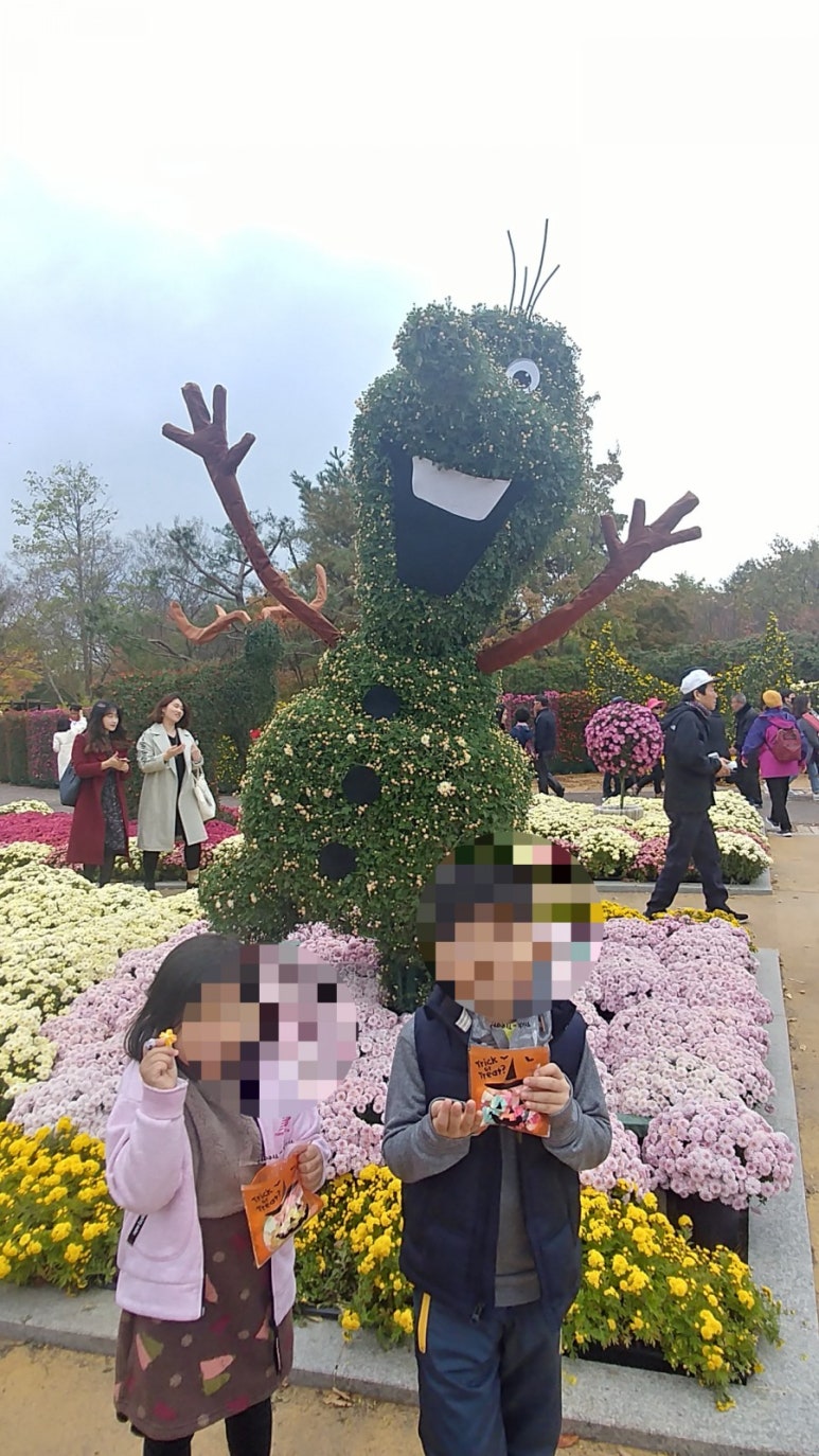 라이솜사탕쿠키 이미지